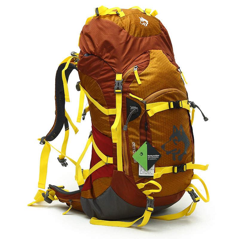 Jungle King outdoor camping ba - Mountain Biking Backpack recension och pris